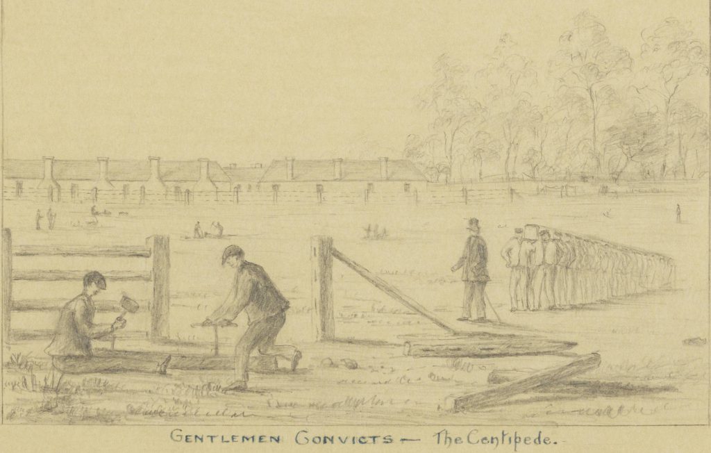 Convict timber-getters and fencers at work